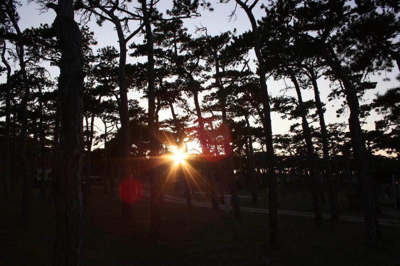 Camping Planik Ražanac Exterior foto