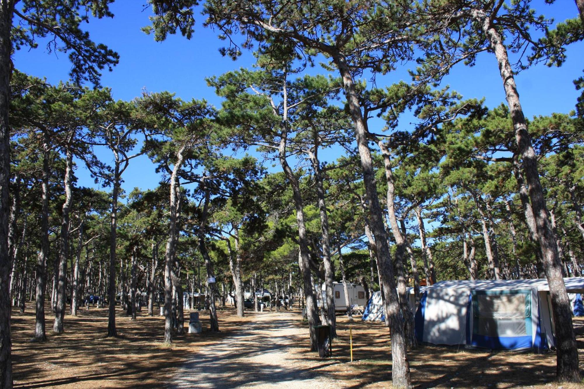 Camping Planik Ražanac Exterior foto